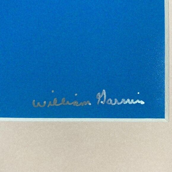 Air Glider Paraglider Bird in Flight 8x10 Matted Photo In 11x14 Signed By Artist - Picture 2 of 2